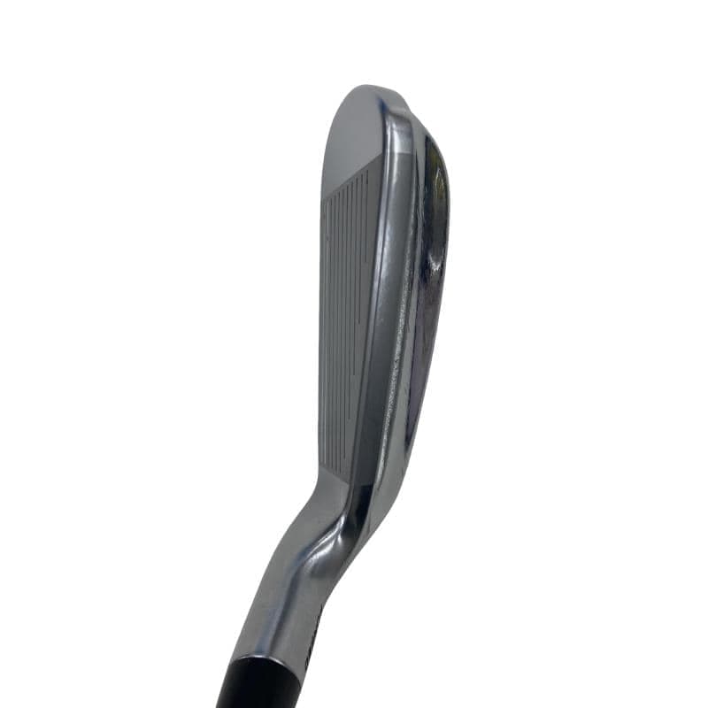 �������������@�t�c�{�Q�i�Q�O�P�X�j�@�U�r�i���{���F�U�{�Z�b�g�j