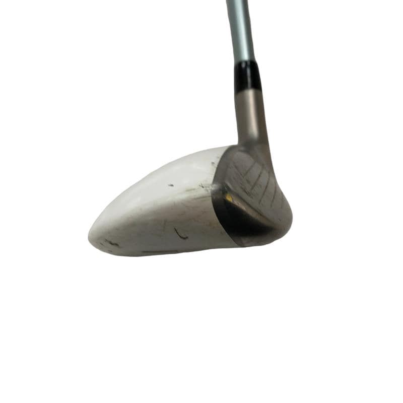 �a�q�|�w�@�t�U�@���f�B�[�X