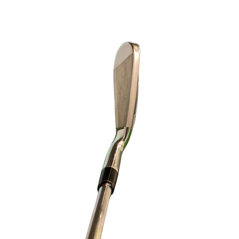 �q�n�f�t�d�@�r�s�@�l�`�w�@�e�`�r�s�@�V�r�i���{���F�V�{�Z�b�g�j