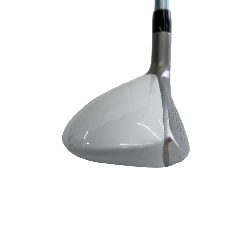 �a�q�|�w�@�t�U�@���f�B�[�X