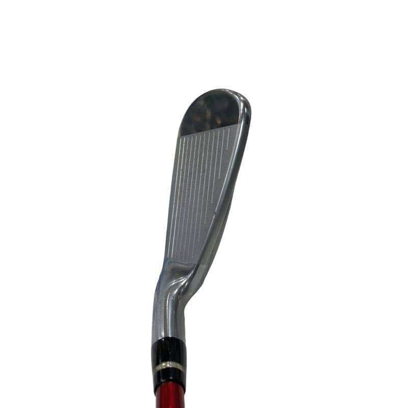 �������������@�q�l�w�@�t�c�{�Q�@�V�r�i���{���F�T�{�Z�b�g�j