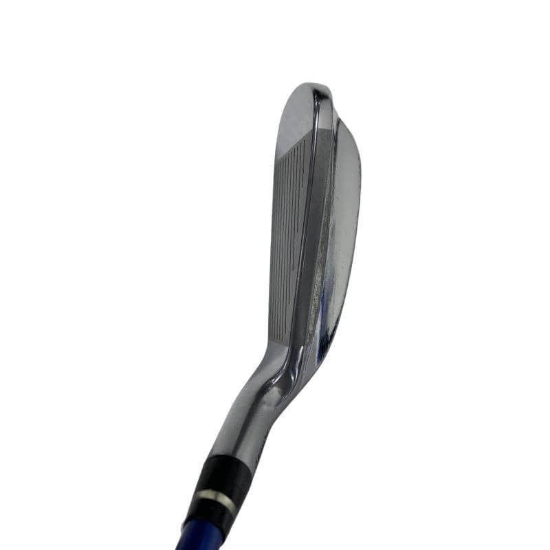 �������������@�t�c�{�Q�@�U�r�i���{���F�T�{�Z�b�g�j