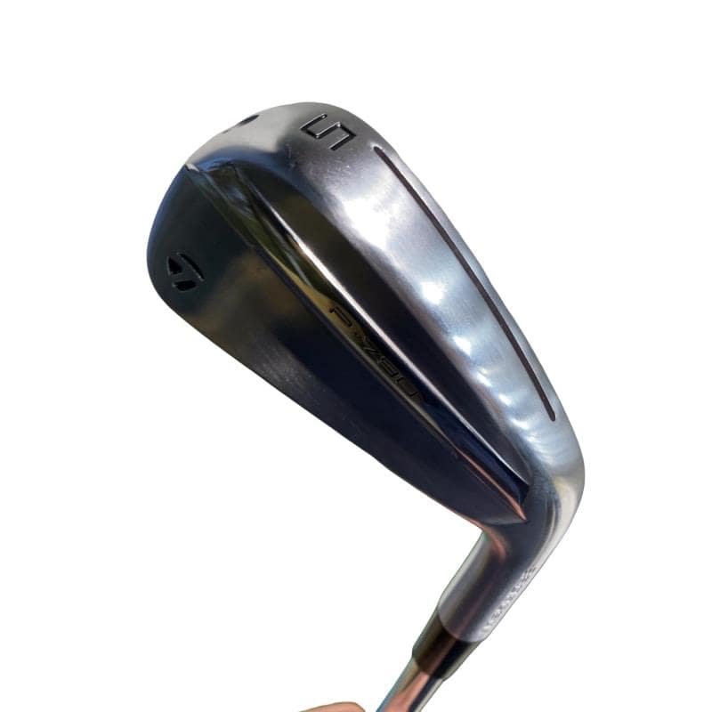 �s�����������@�l�������@�o�E�V�X�O�i�Q�O�Q�T�j�@���T