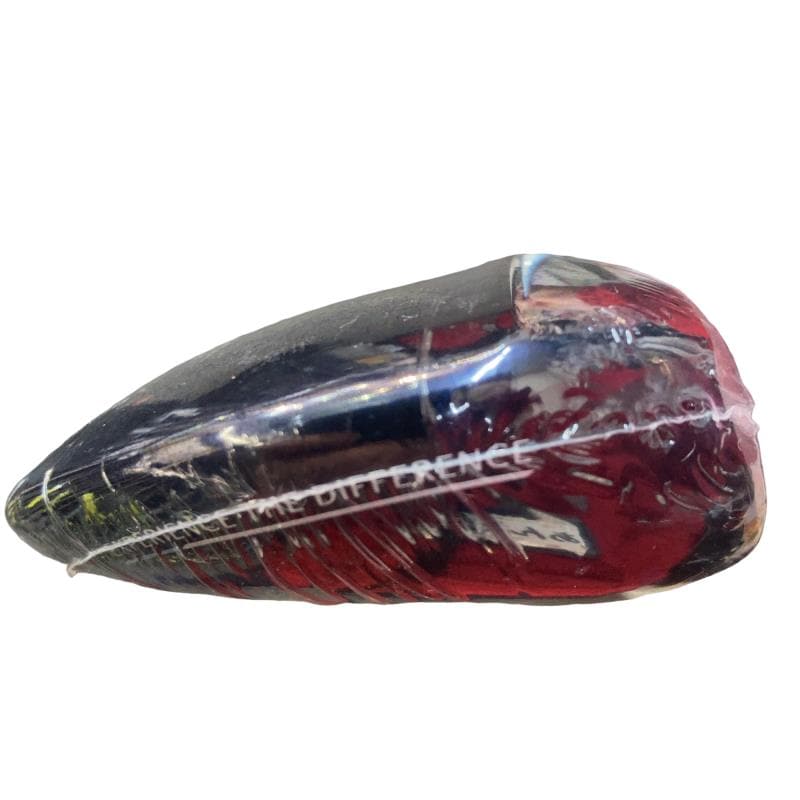 �w�w�h�n�i�Q�O�Q�S�j�@�R�v�@���f�B�[�X