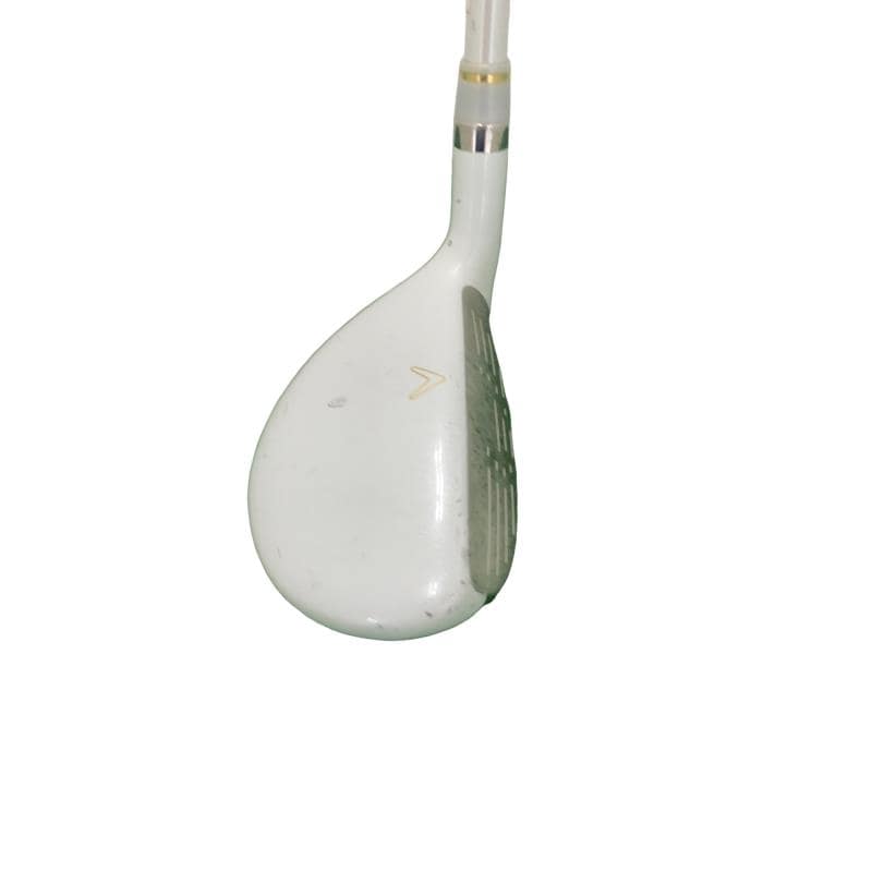 �����������i�Q�O�P�T�j�@�U�g�@���f�B�[�X