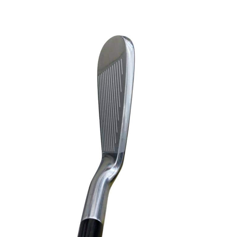 �l�����������@�o�����@�X�Q�O�@�U�r�i���{���F�U�{�Z�b�g�j