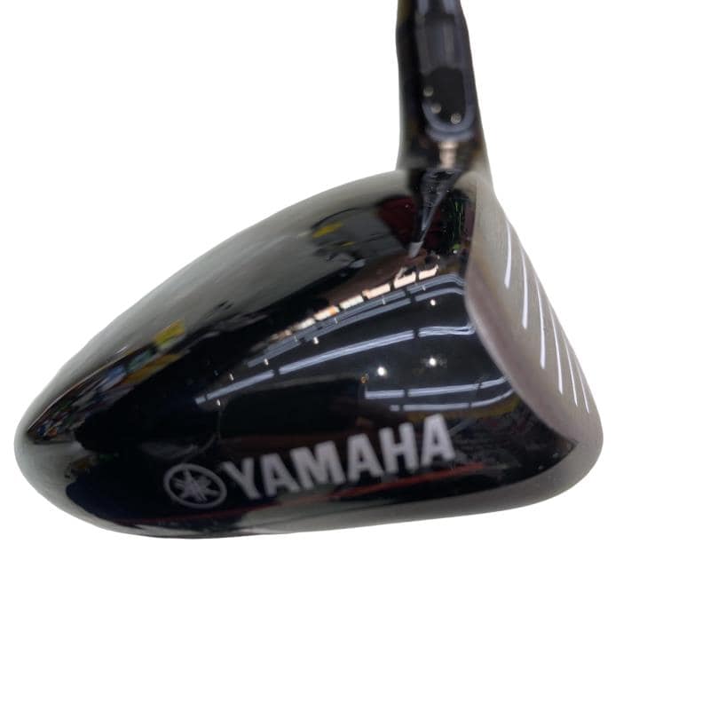 �������������@�q�l�w�@�t�S�{