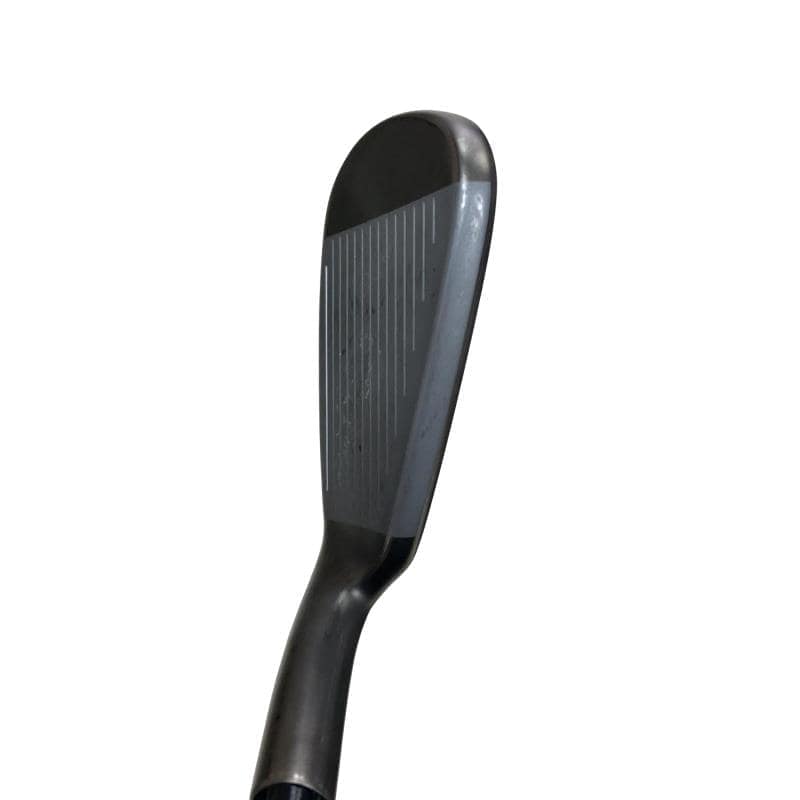 �r���������@�a���������@�@�T�r�@���f�B�[�X�i���{���F�T�{�Z�b�g�j