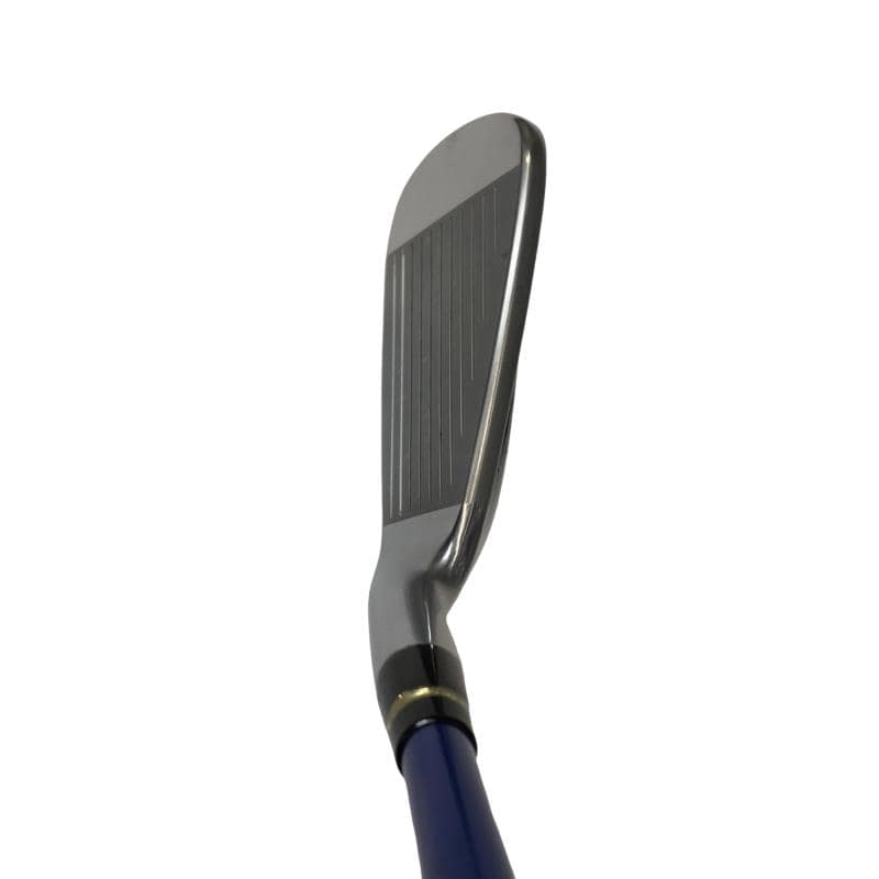 �������������@�t�c�{�Q�@�U�r�i���{���F�T�{�Z�b�g�j