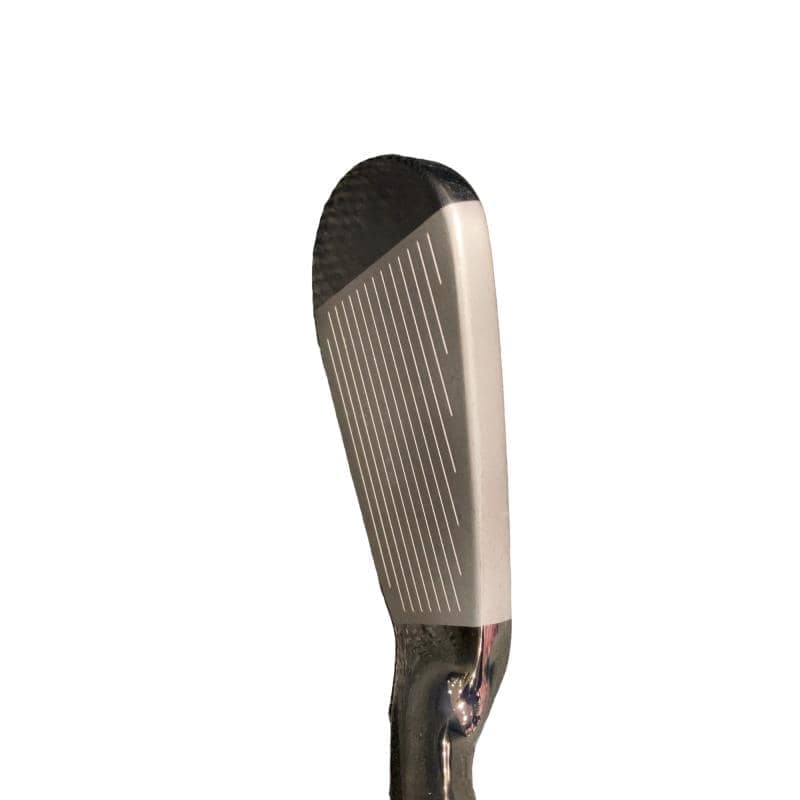 �l�`�i�d�r�s�x�@�q�����������i�Q�O�Q�R�j�@�T�r�@���f�B�[�X�i���{���F�T�{�Z�b�g�j