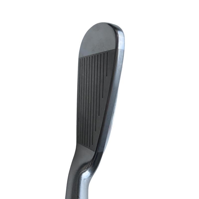 �������������@�t�c�{�Q�@�S�r�i���{���F�S�{�Z�b�g�j