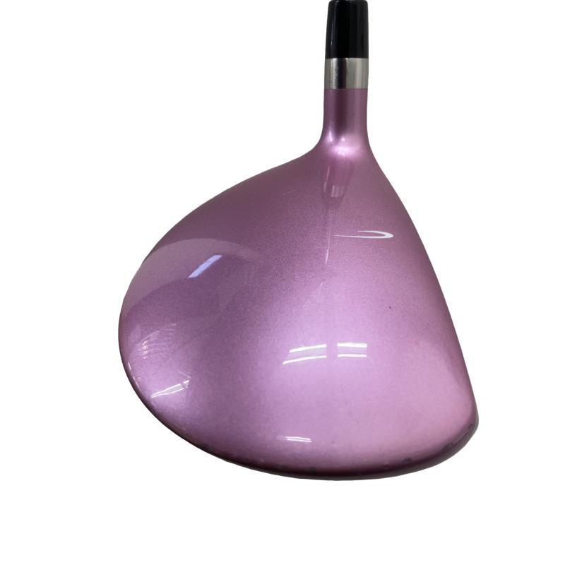 ���������i�Q�O�P�Q�j�@�V�v�@���f�B�[�X