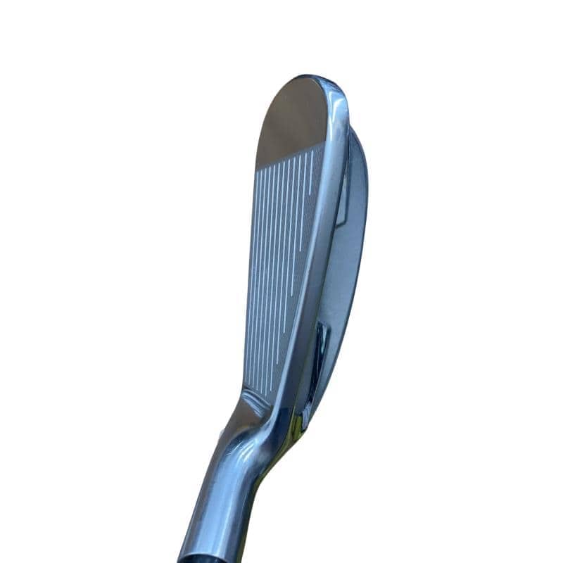 �������������@�q�l�w�@�t�c�{�Q�@�V�r�i���{���F�T�{�Z�b�g�j