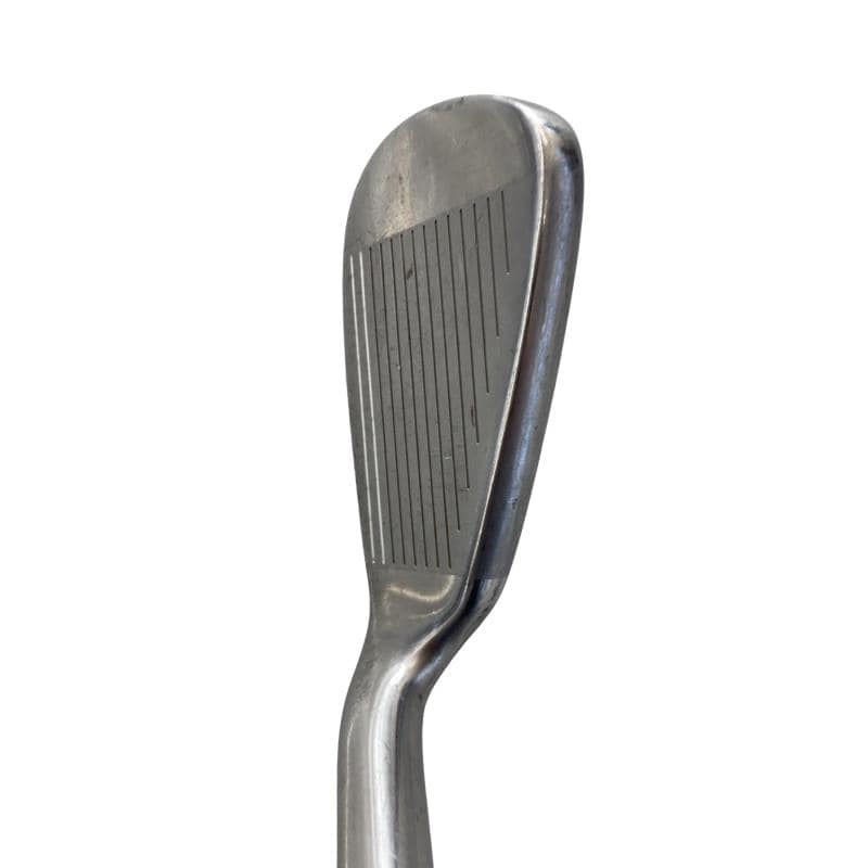 ���T�@�w�k�@�o�k�t�r�@�T�r�@���f�B�[�X�i���{���F�T�{�Z�b�g�j