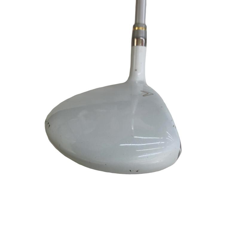 �����������i�Q�O�P�T�j�@�T�v�@���f�B�[�X