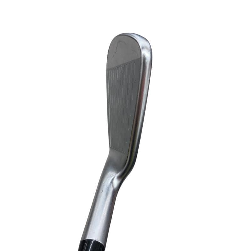 ���Q�P�O�@�U�r�i���{���F�U�{�Z�b�g�j