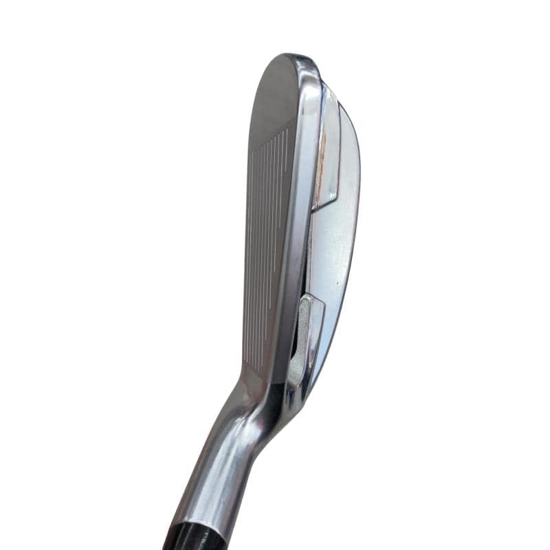 �������������@�q�l�w�@�t�c�{�Q�@�V�r�i���{���F�T�{�Z�b�g�j