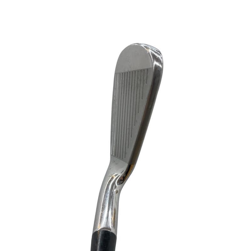 �q�n�f�t�d�@�r�s�@�l�`�w�@�e�`�r�s�@�V�r�i���{���F�U�{�Z�b�g�j