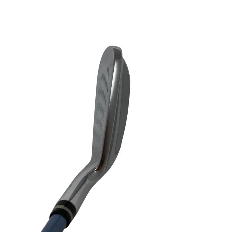 �������������@�t�c�{�Q�@�V�r�@���f�B�[�X�i���{���F�U�{�Z�b�g�j