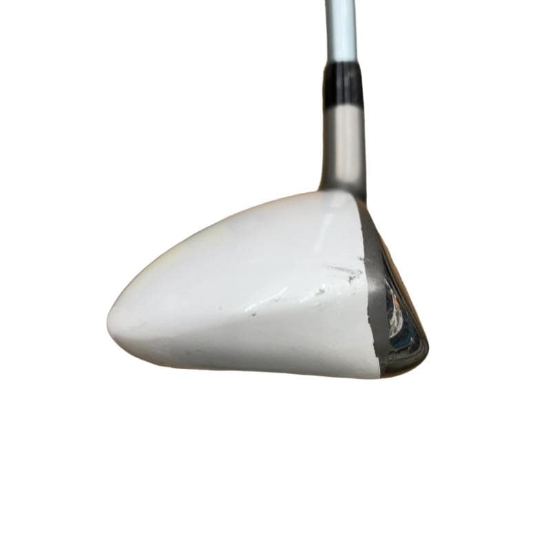 �a�q�|�w�@�t�T�@���f�B�[�X