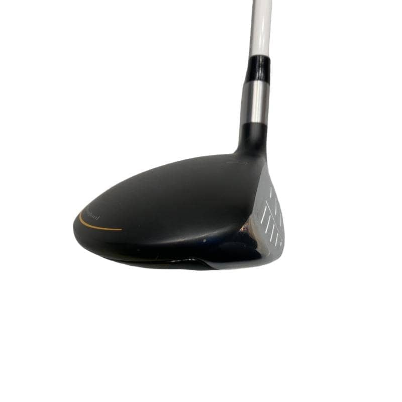 �q�n�f�t�d�@�r�s�@�l�`�w�@�e�`�r�s�@�V�v�@���f�B�[�X