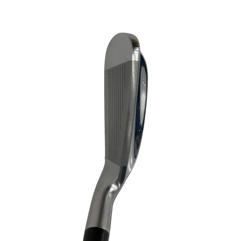 �������������@�t�c�{�Q�@�S�r�i���{���F�S�{�Z�b�g�j