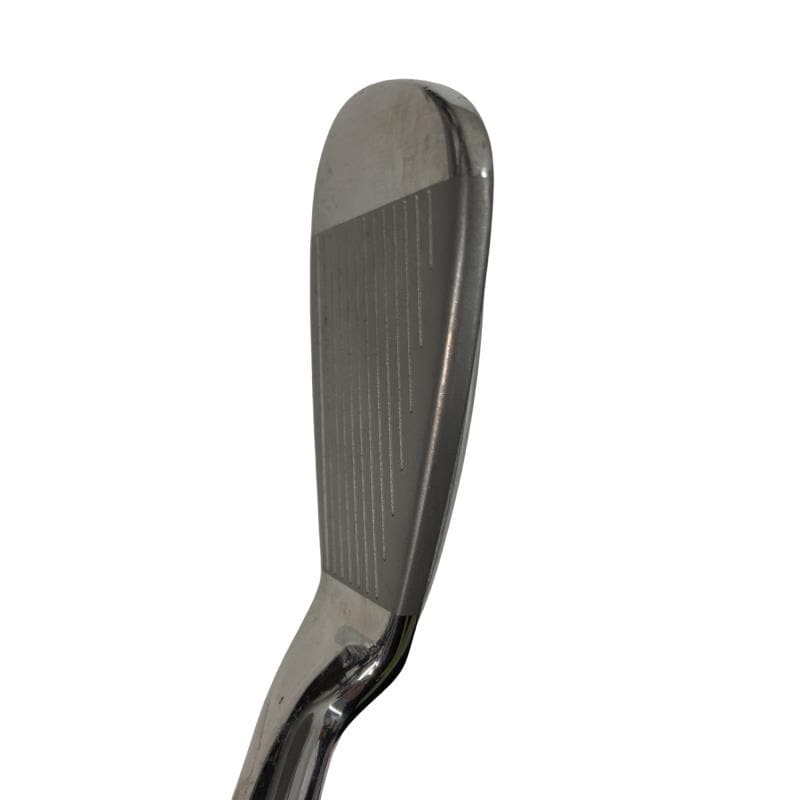 �o���������������@�b�k�i�Q�O�P�Q�j�@�T�r�@���f�B�[�X�i���{���F�R�{�Z�b�g�j