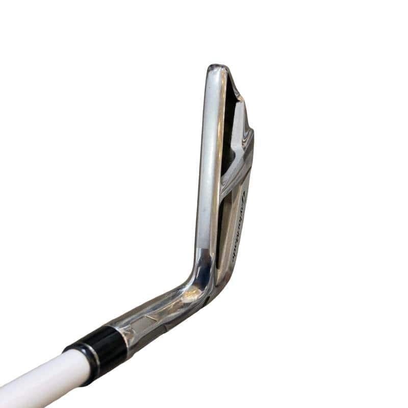 �r�h�l�@�l�`�w�@�@�T�r�@���f�B�[�X�i���{���F�T�{�Z�b�g�j