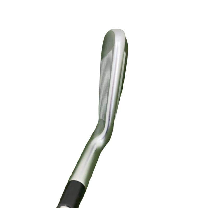 ���Q�P�O�@�X�r�i���{���F�V�{�Z�b�g�j