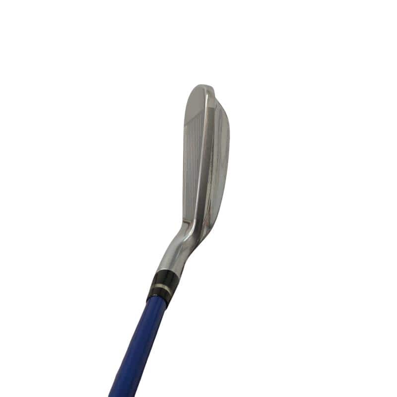 �������������@�t�c�{�Q�@�S�r�i���{���F�S�{�Z�b�g�j