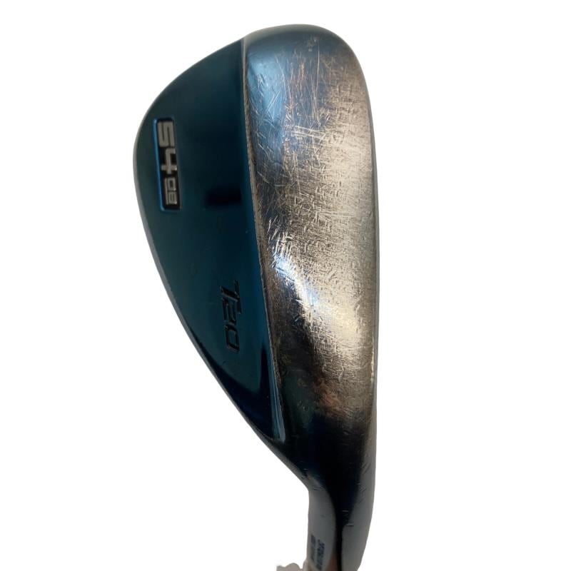 �l�����������@�s�Q�O�i�u���[�j�@�T�S°�^�O�W°