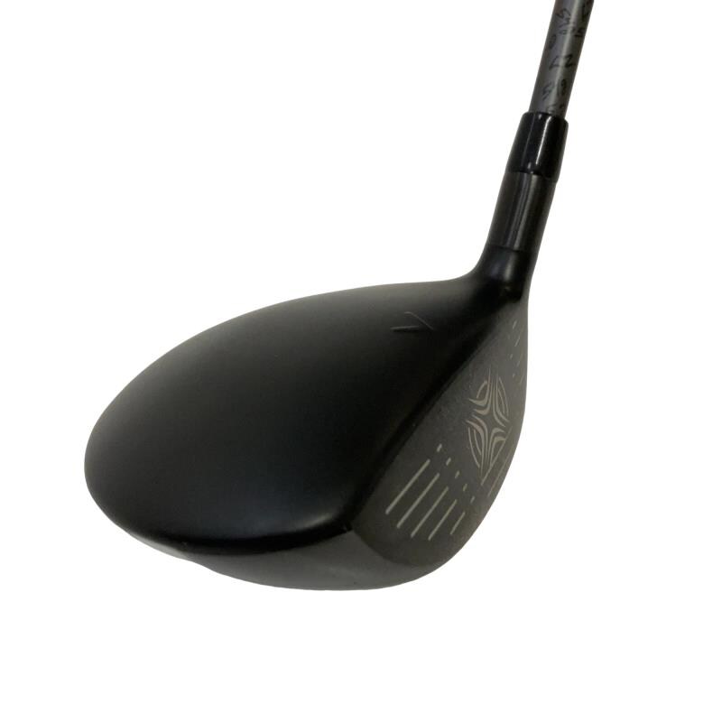 �w�q�@�@�T�v�@���f�B�[�X�@�t�r�`