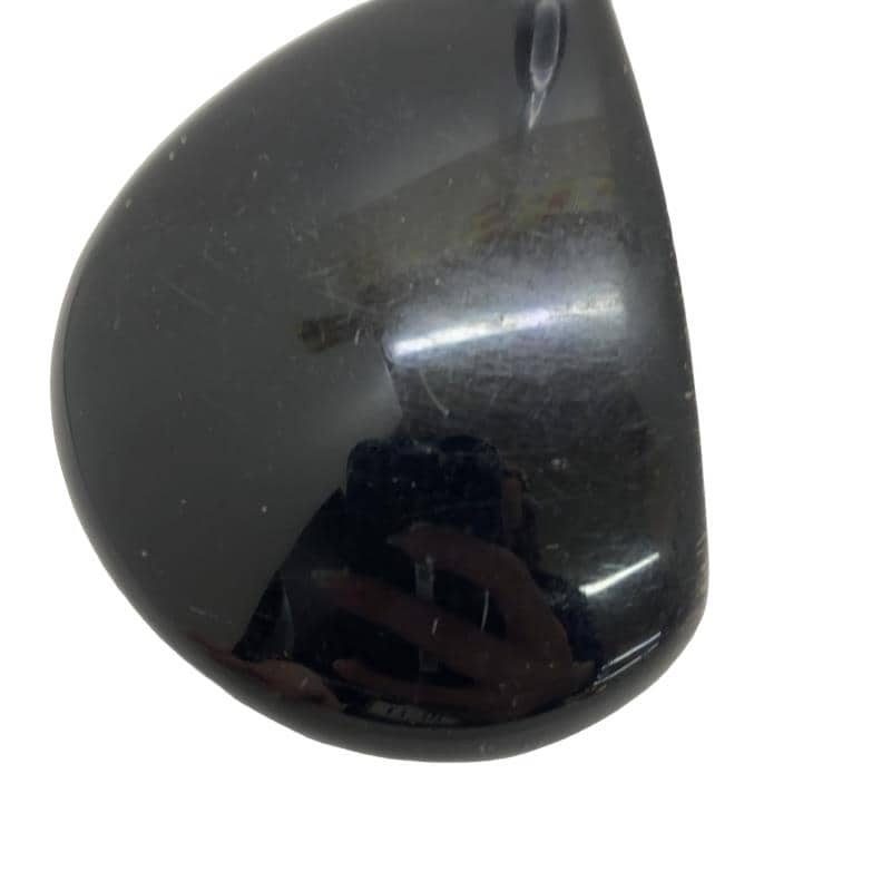 �w�Q�@�g�n�s�@�@�T�v