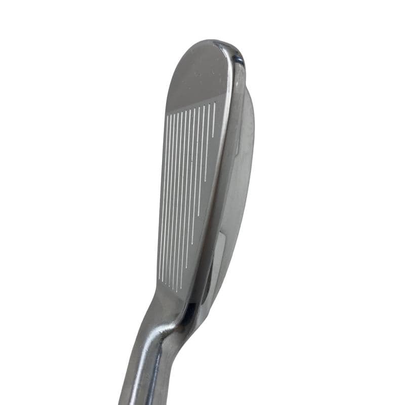 �������������@�q�l�w�@�t�c�{�Q�@�V�r�i���{���F�U�{�Z�b�g�j