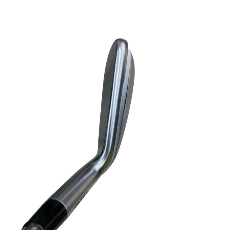 ���T�R�O�@�T�r�i���{���F�T�{�Z�b�g�j