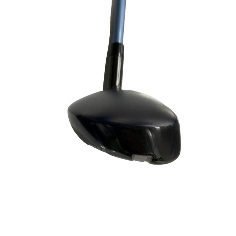 �w�q�@�t�S�@���f�B�[�X