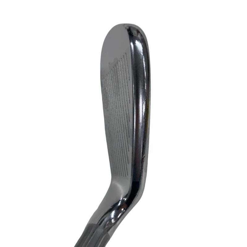 �l�Q�@�T�r�@���f�B�[�X�i���{���F�S�{�Z�b�g�j