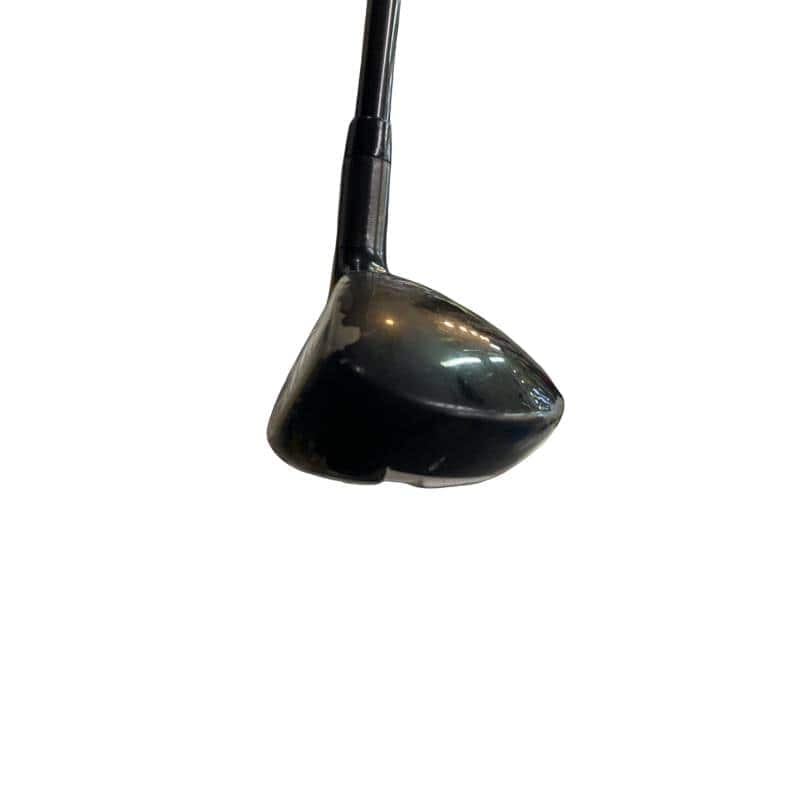 �w�Q�@�g�n�s�@�t�T�@���t�e�B