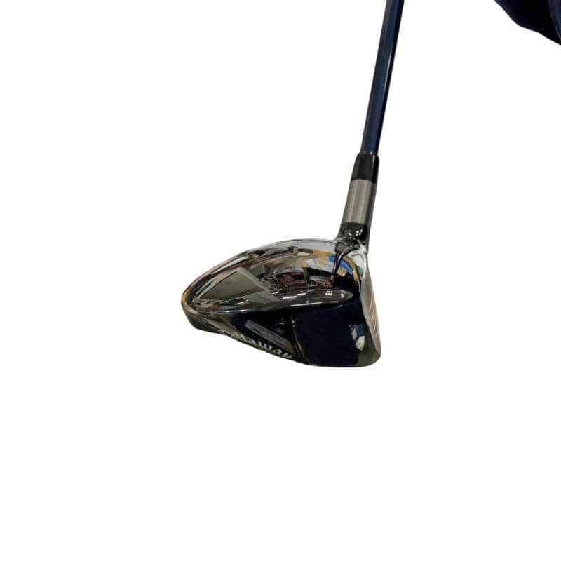 �`�o�d�w�@�t�v�i�Q�O�Q�S�j�@�Q�P°