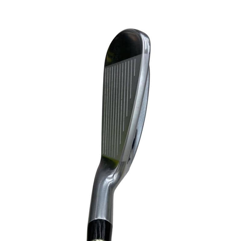 �������������@�q�l�w�@�t�c�{�Q�@�X�r�i���{���F�V�{�Z�b�g�j