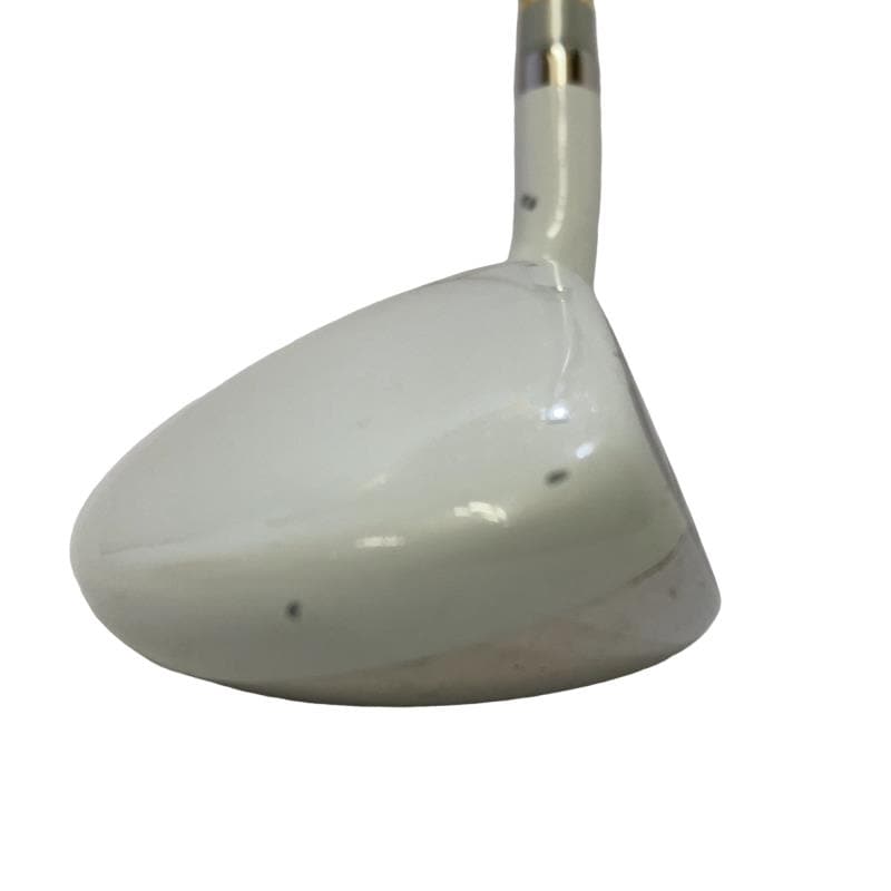 �����������i�Q�O�P�T�j�@�T�g�@���f�B�[�X