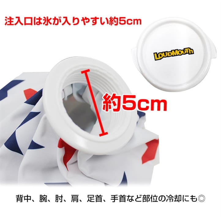 Eh}EX X̂ St ICE BAG  LOUDMOUTH 760916