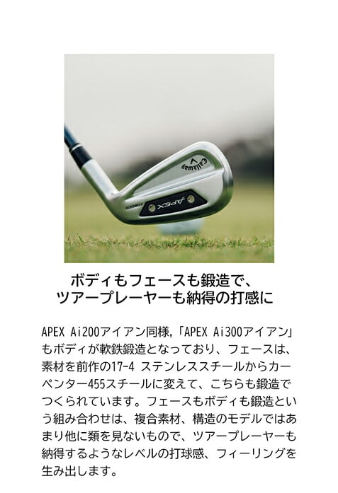�L�����E�F�C APEX Ai 300 6�{�Z�b�g6S ���t�e�B NS PRO 750GH neo �S���t �A�C�A���Z�b�g ������