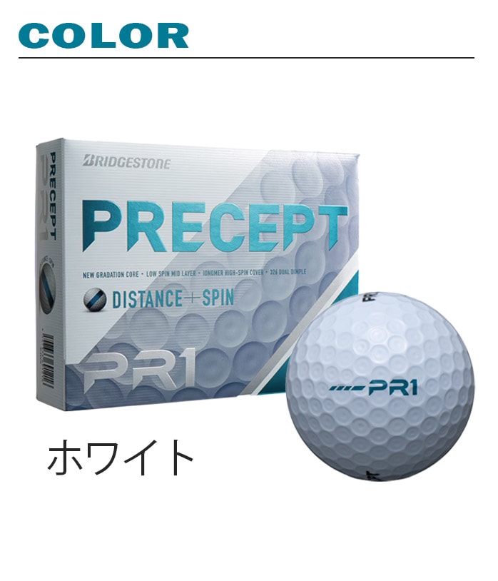 vZvg PRECEPT St{[ PR-1 ZJWX SMU 2025N 1_[X 12 uaXg