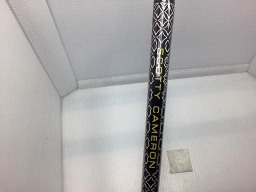 ＳＣＯＴＴＹ　ＣＡＭＥＲＯＮ　ＰＨＡＮＴＯＭ　Ｘ　９（２０２２）　３４インチ