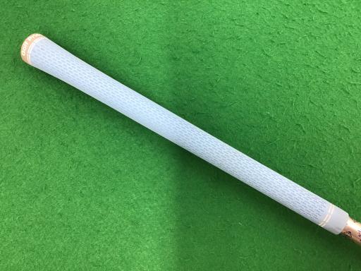 �p���P�O�@�l�`�w�@�T�v�@���f�B�[�X