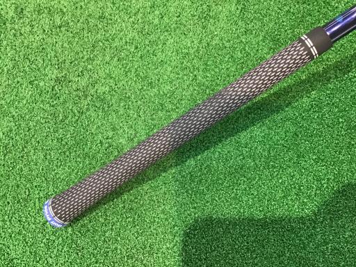 �p���P�O�@�T�v