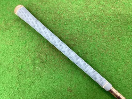 �p���P�O�@�l�`�w�@�T�v�@���f�B�[�X