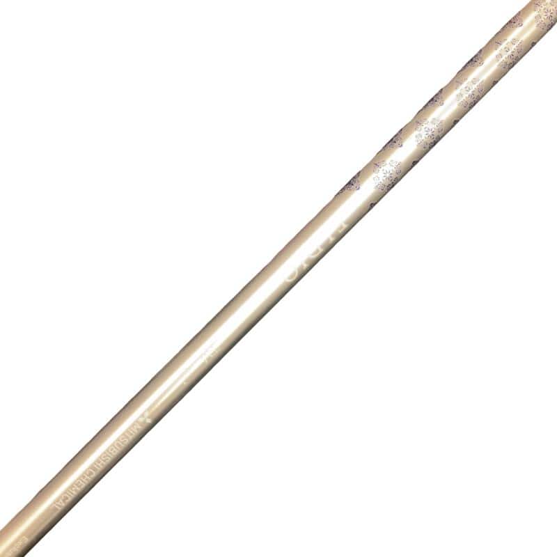 �p���P�O�@�l�`�w�@�t�T�@���f�B�[�X