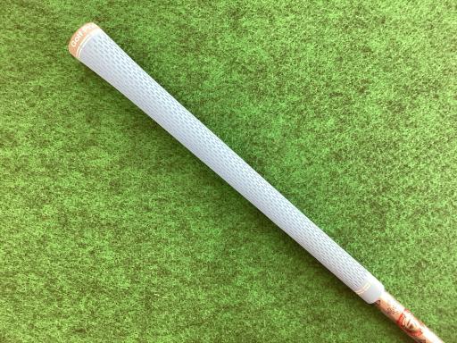 �p���P�O�@�l�`�w�@�R�v�@���f�B�[�X